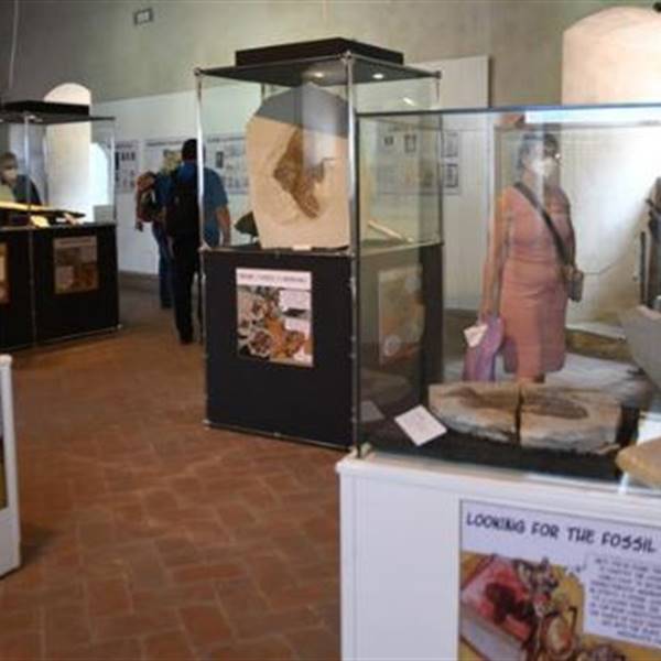 Ausstellung von Bolca-Fossilien im Schloss von Malcesine